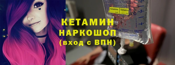стаф Аркадак