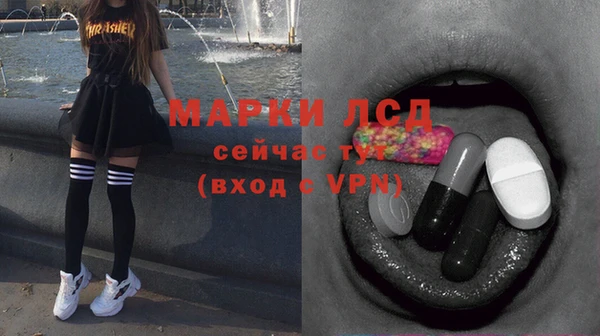 стаф Аркадак