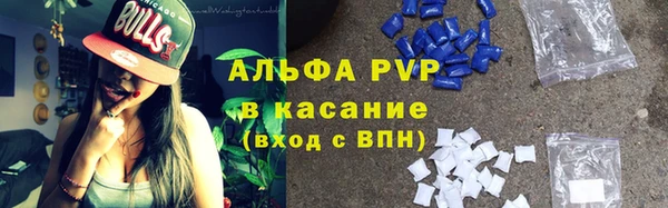 стаф Аркадак